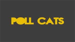 Poll-Cats-650x366